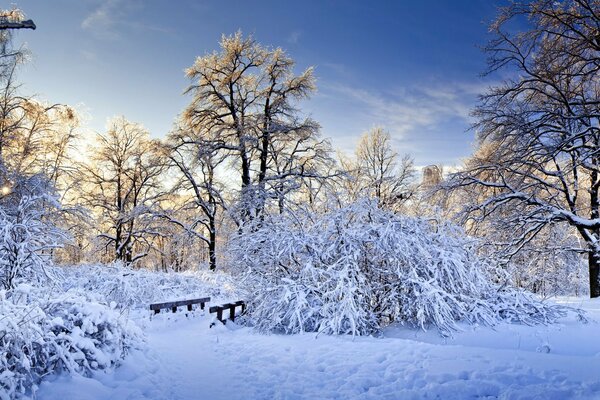 Paisaje de invierno con un puente en el bosque