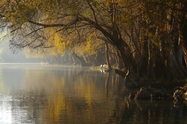 Herbstpark mit ausgezeichnetem See