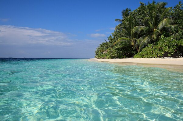 Hermosa playa salvaje con agua azul