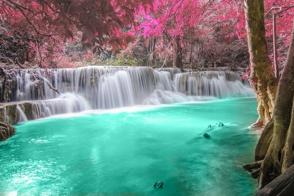 Río Esmeralda en el bosque de hadas