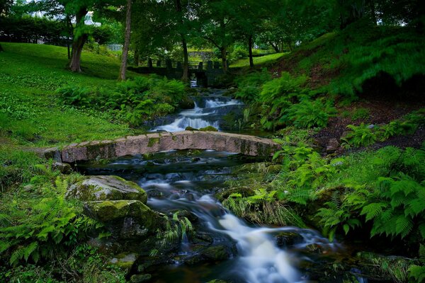 Un río de montaña fluye entre el bosque