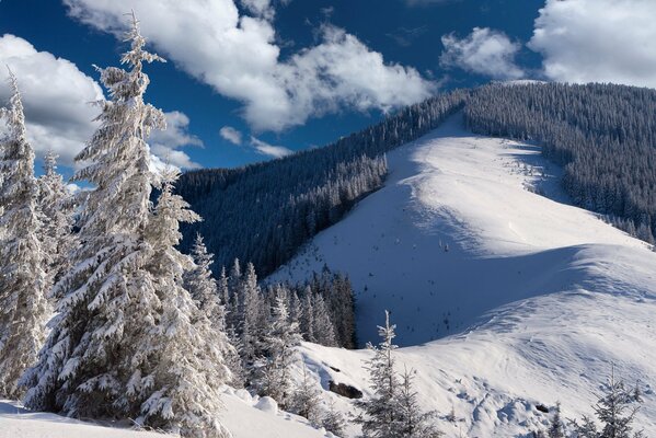 La ladera cubierta de abetos de una montaña cubierta de nieve