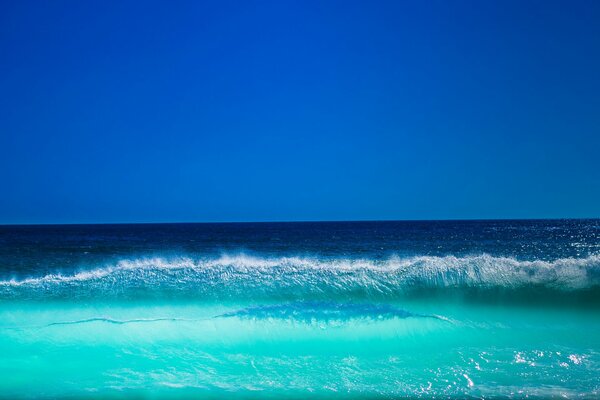 Vague verte de la mer sur fond bleu