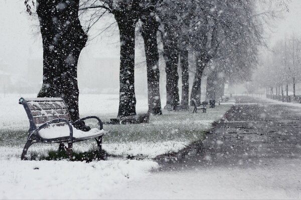 Der Laden im Park ist mit Schnee belegt