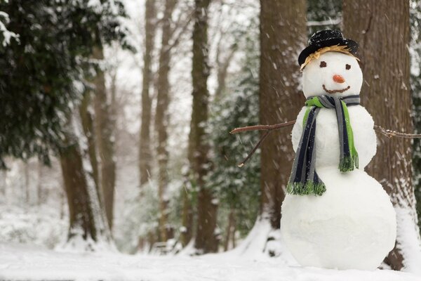 Bellissimo pupazzo di neve in piedi nella foresta vicino all albero