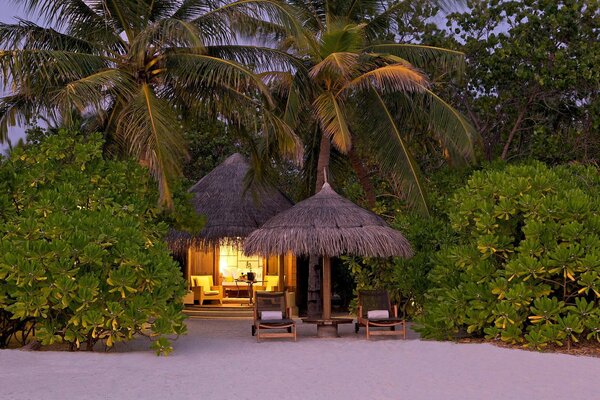 Gazebo under palm trees