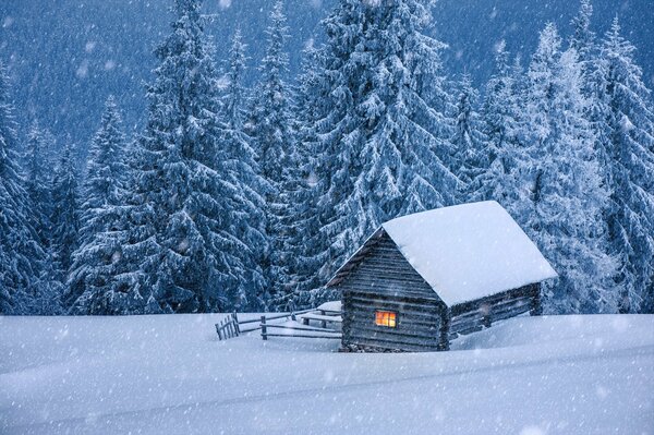 Una casa solitaria cubierta de nieve se encuentra en el bosque