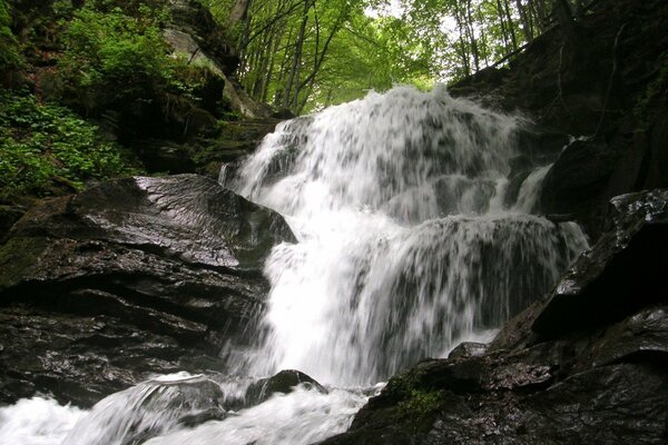 Fiume di montagna nei Carpazi