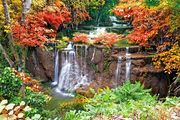 Cascada en el bosque de otoño