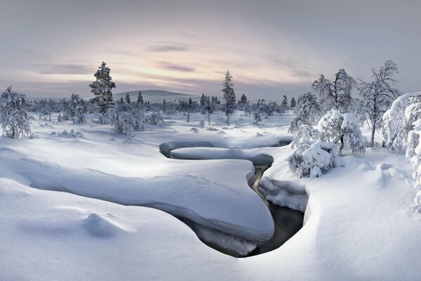 Winter Fluss inmitten von Wildtieren