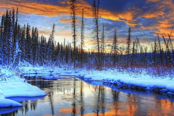 Rivière inexplorée dans la forêt d hiver