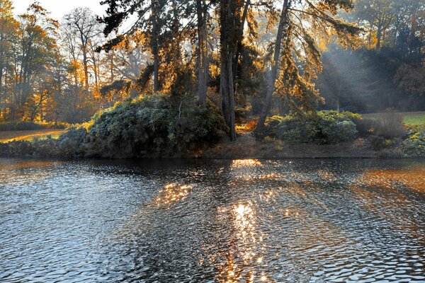 Ein von der Sonne beleuchteter See im Herbstpark