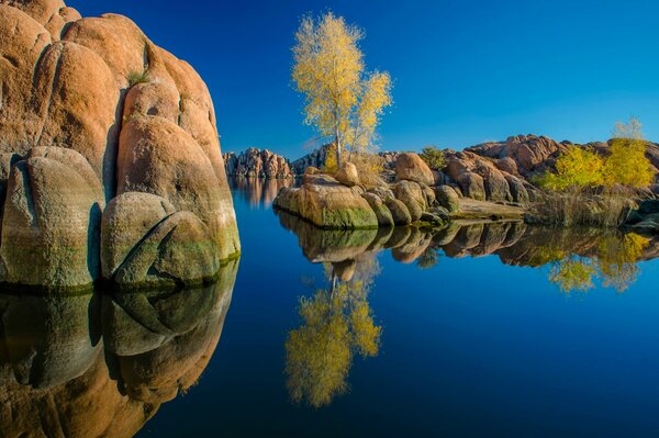 Arizona réflexion des arbres dans le lac