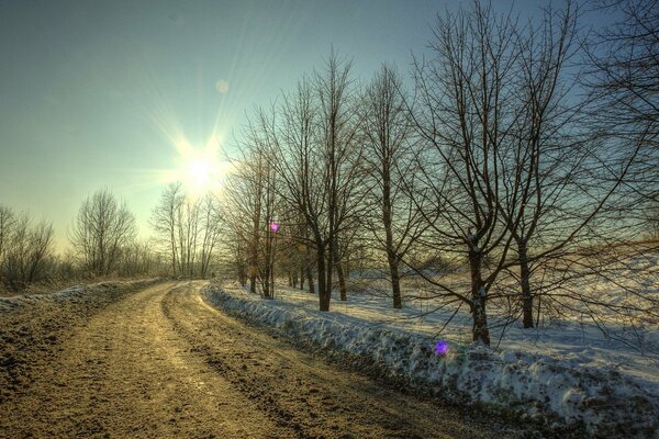 Strada innevata illuminata dal sole