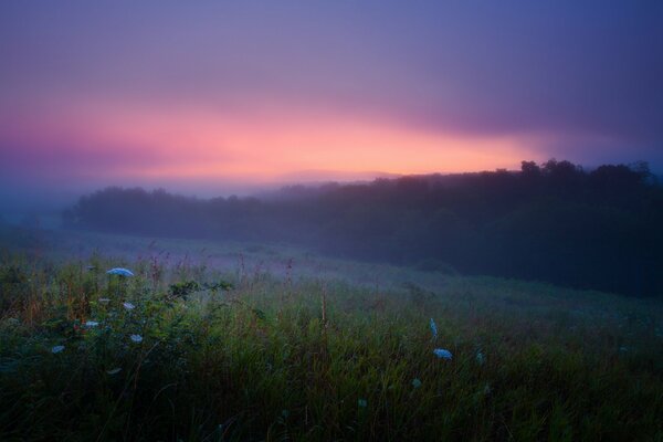 Matin d été tôt avec brouillard