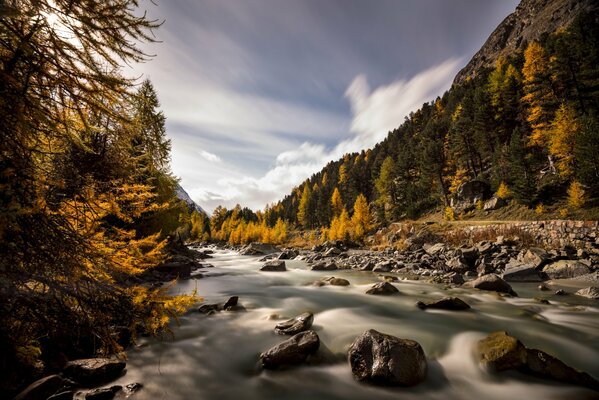 Ruscello tempestoso nella valle d autunno