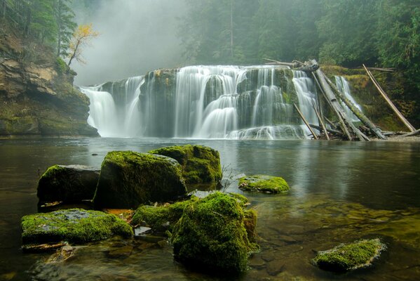 Bellissime cascate circondate da boschi