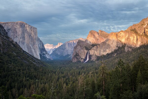 Parc National de Yosemite, montagne, forêt