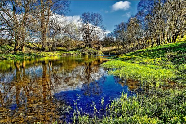 Paisaje con el río y la naturaleza en reflexión