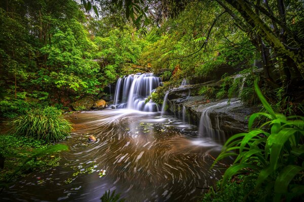 Kleiner Wasserfall am Waldbach