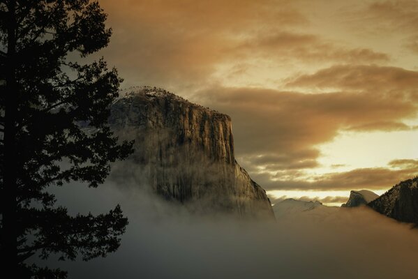 Brouillard sur fond de roches