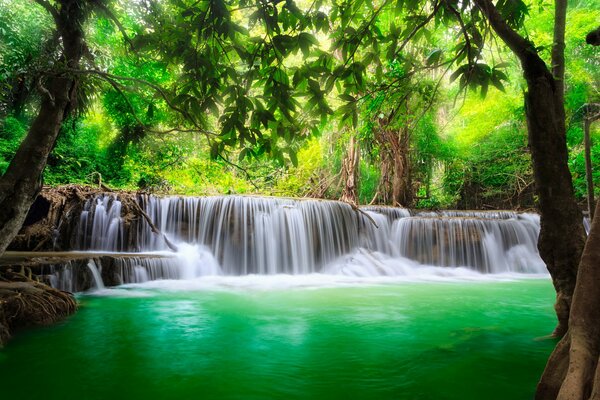 Incredibly beautiful waterfall near the emerald forest river