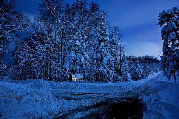 Ein Haus im Wald in der Winterdämmerung