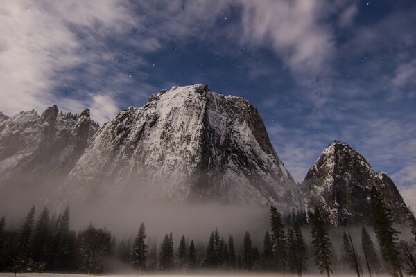 Parque nacional de Yosemite y bosque en la niebla