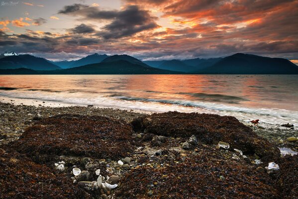 Bella spiaggia, tramonto, mare, ciottoli, alghe visibili