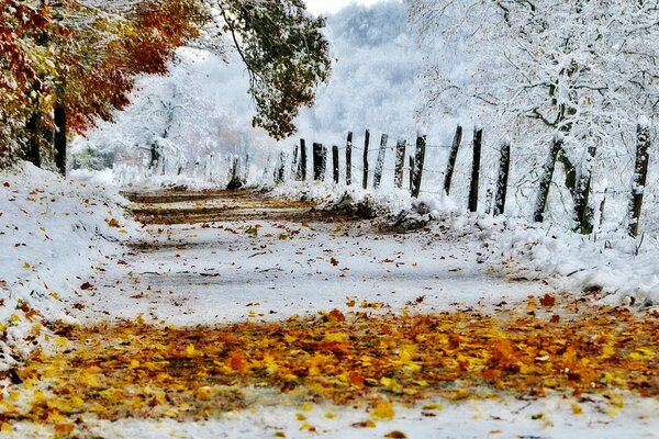 Blätter und Schnee auf der Straße