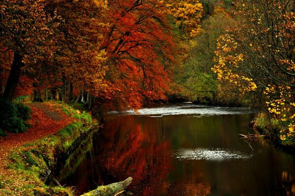 Paisaje de otoño. Lago en el bosque de otoño