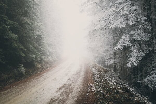 Natur der Waldstraße mit Schnee im Nebel