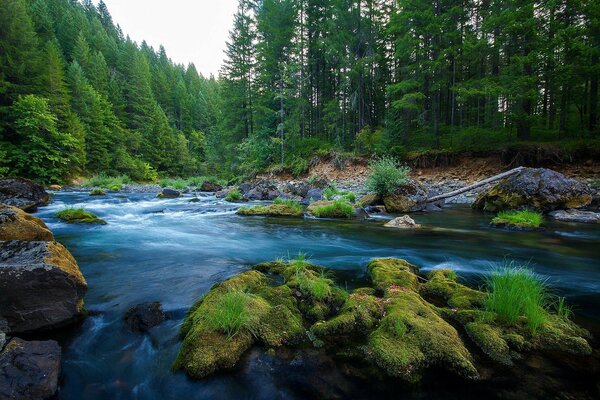 Berg Fluss Wald Steine