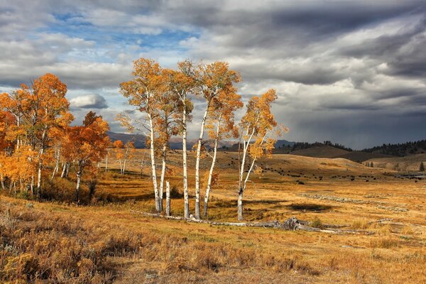 Park Narodowy Yellowstone w USA jesienią