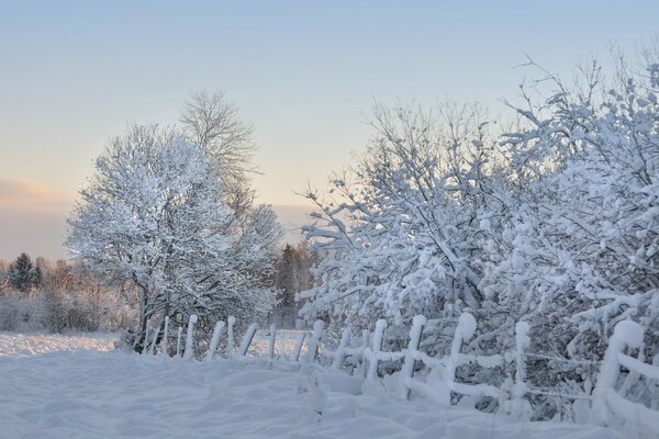 Winter village landscape. Frost and sun