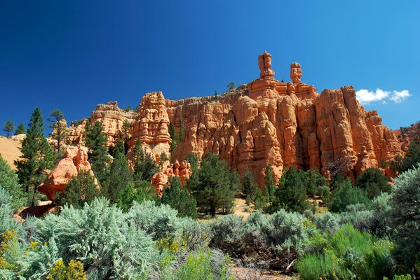 Utah cañón rojo árboles cielo