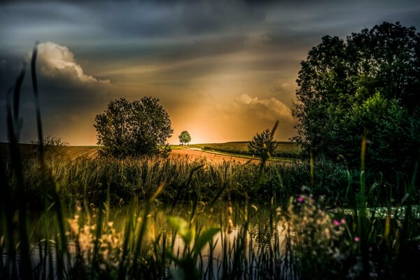 Río en el fondo de la hermosa naturaleza