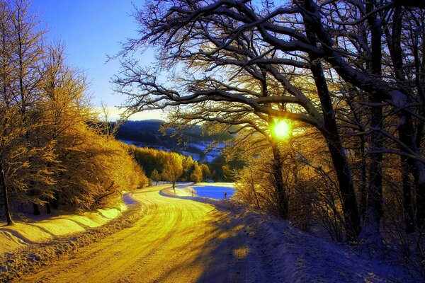 Strada invernale attraverso la foresta