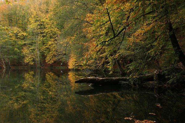 Autumn forest and lake in Turkey