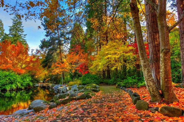 Autumn forest and river