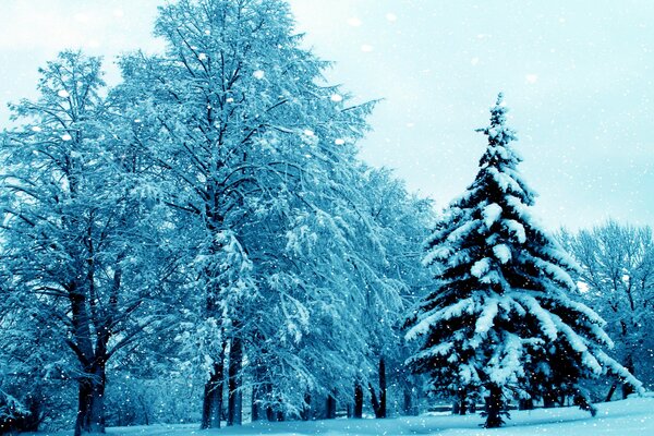 L inverno è arrivato con neve e gelo