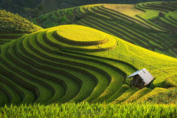 Multi-stage green plantations on the hill