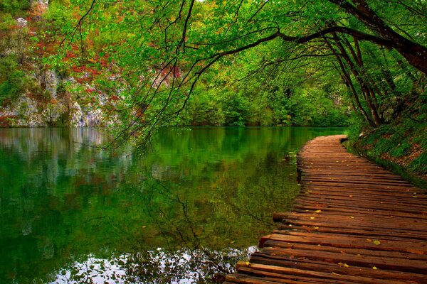 Der Weg im Park entlang des Flusses