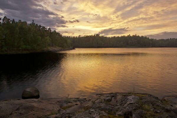 Sonnenuntergang im Wald am See