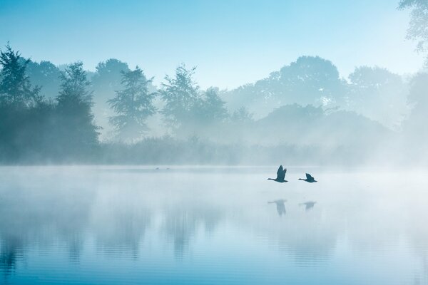 Morning lake landscape in the Netherlands