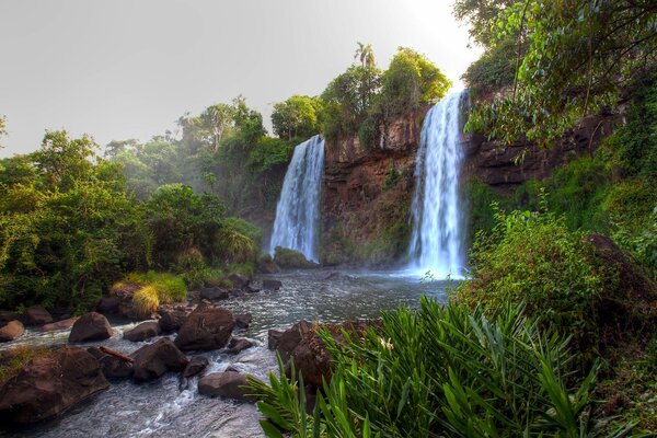 Cascade dans la jungle verte