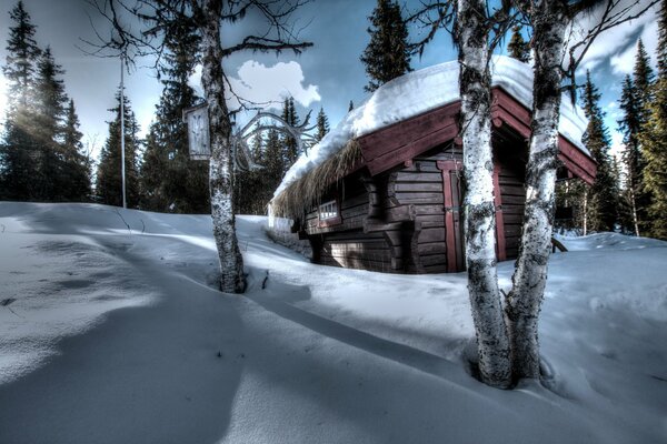 Cabane solitaire debout au milieu de la forêt d hiver