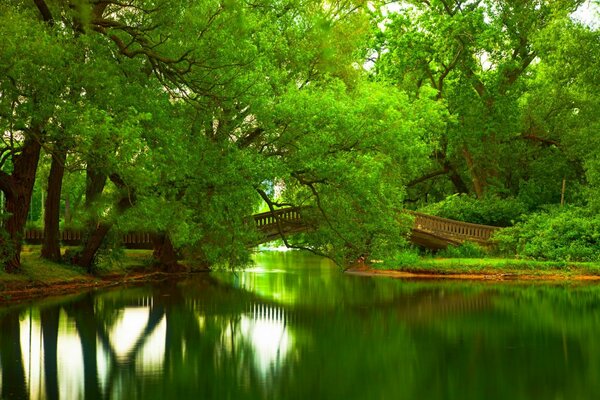 Il ponte di tutti gli amanti come un tranquillo paradiso dei sogni