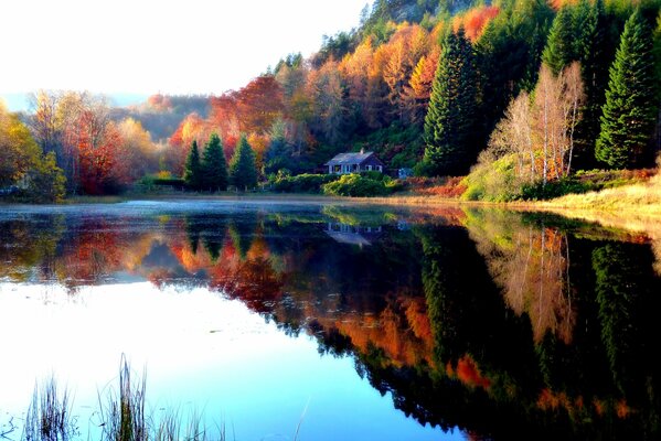 Lac miroir sur fond de forêt multicolore