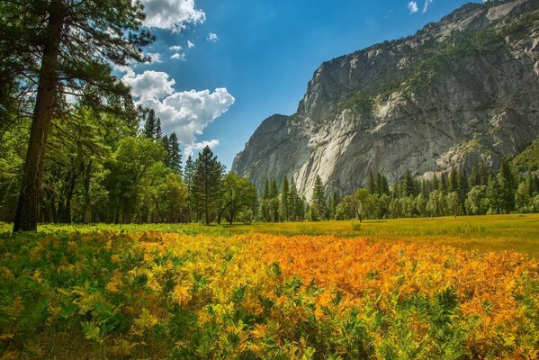 Naturaleza del parque nacional, montañas y bosques